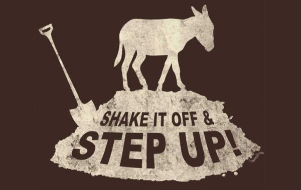Shake It Off & Step Up