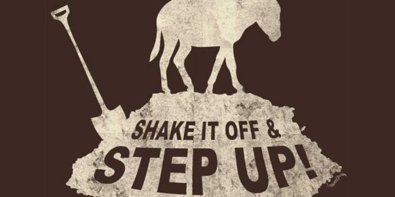 Shake It Off & Step Up